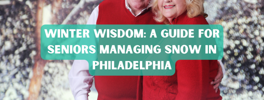 Winter Wisdom A Guide for Seniors Managing Snow in Philadelphia photo